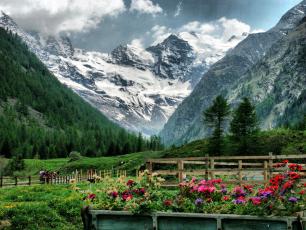 Cogne landscape