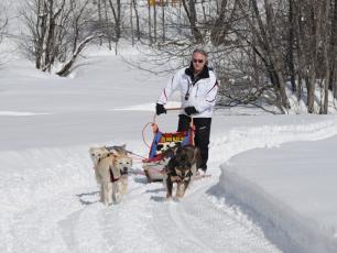 Dog Sledding in Courmayeur