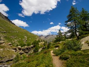 Gran Paradiso National Park - @ Photo Jeremy Janin