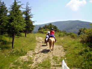 Horse Riding in Aosta Valley